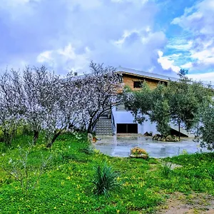  Appartamento Pirastreri Italia